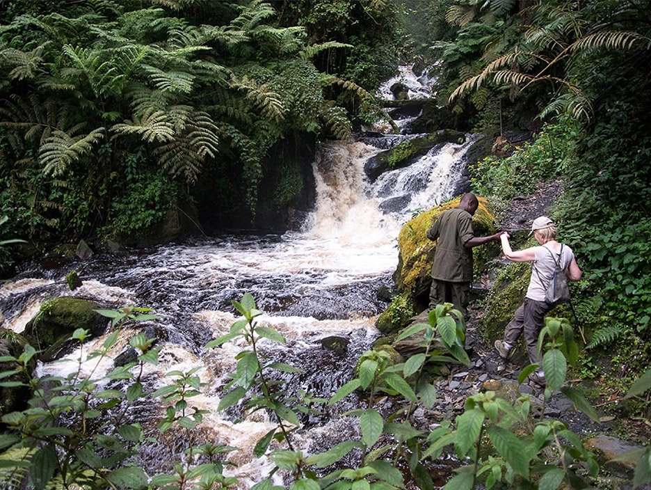 Waterfall Trail