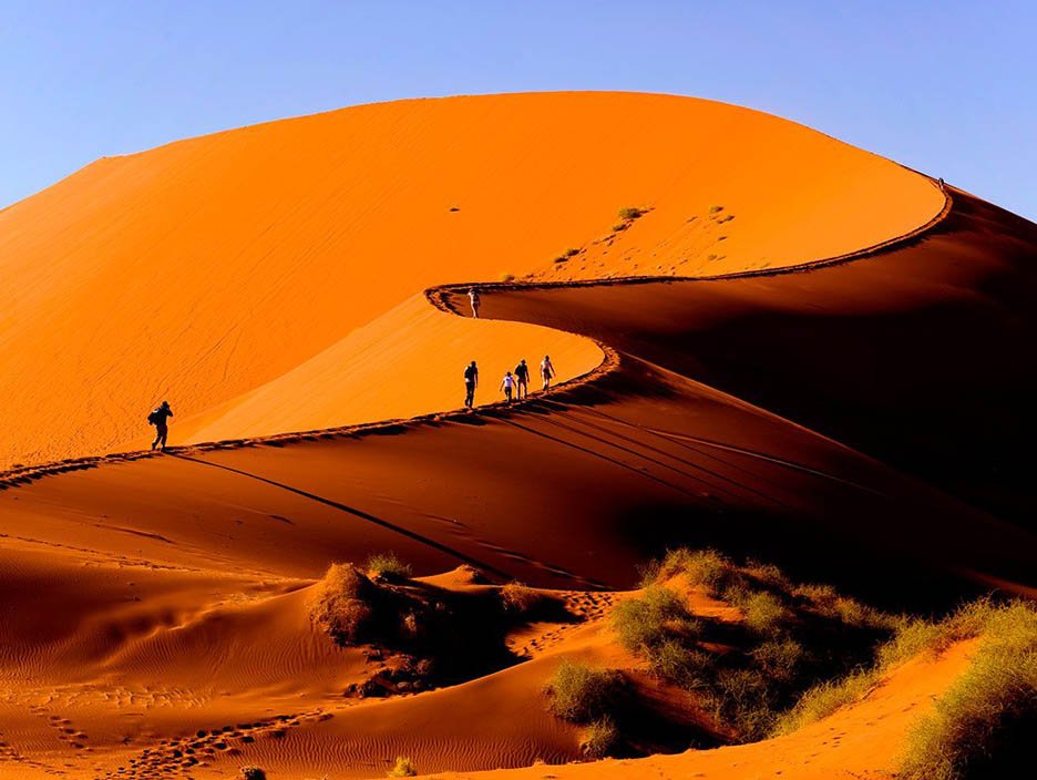 Desert Safari