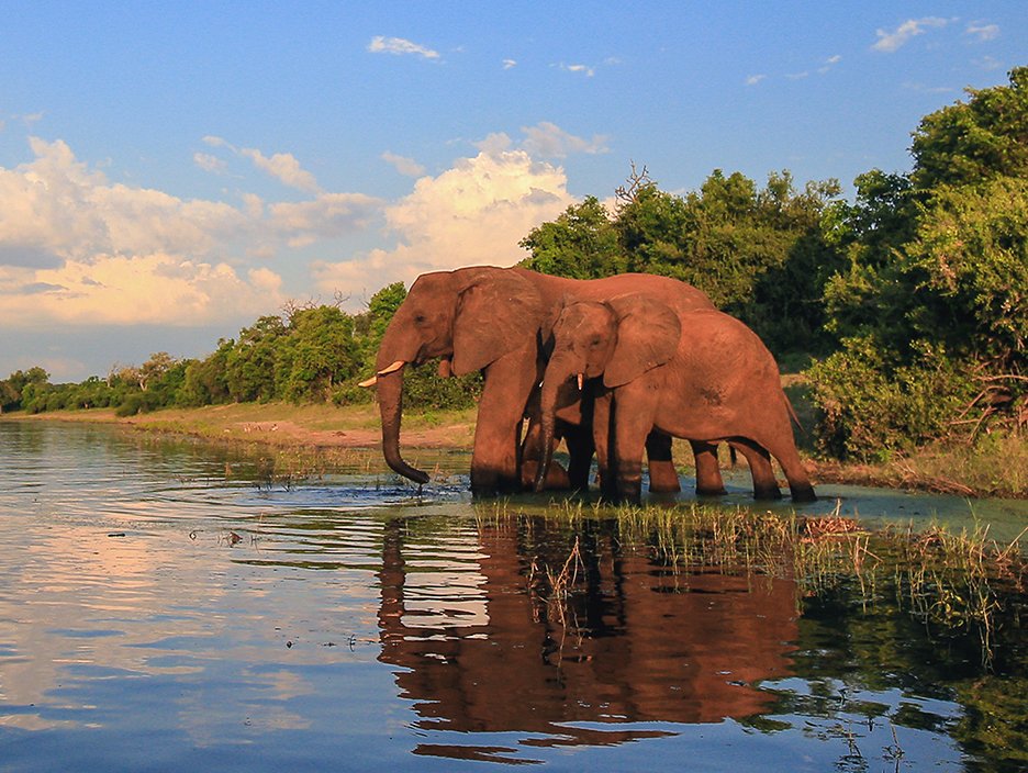 South Africa Tour Packages: Luxury in the Wild