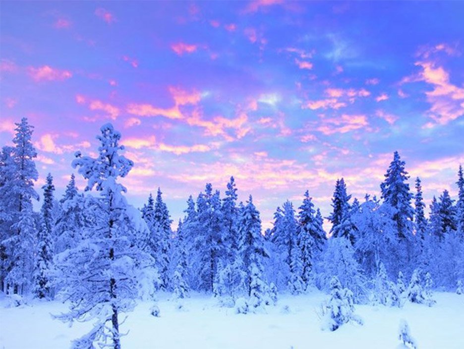 Custom Lapland Tour Package for Arctic Adventures