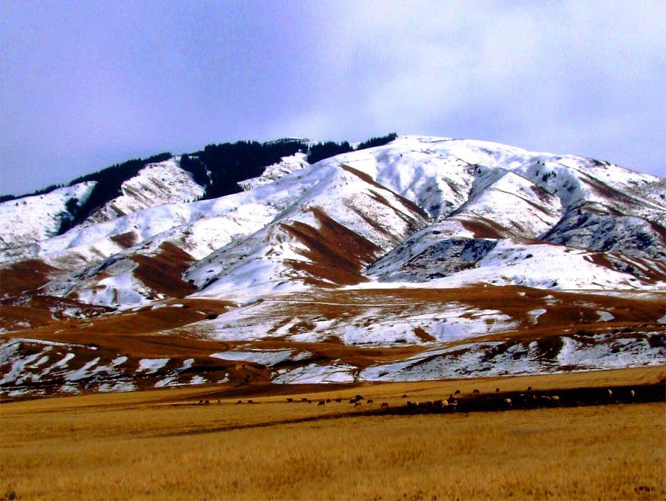 Begin your Kyrgyz adventure.