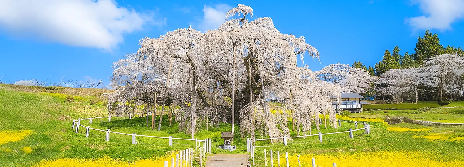 Japan's iconic mountain landscape.
