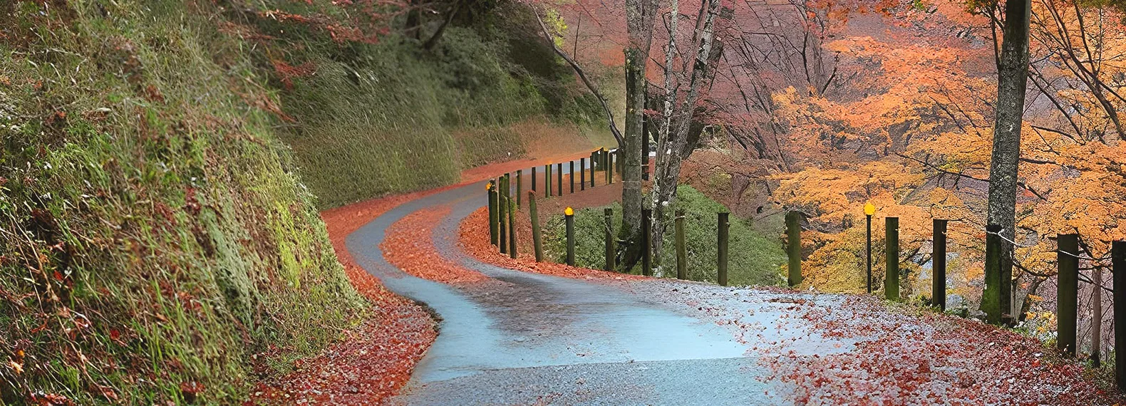 The cultural heart of Japan.