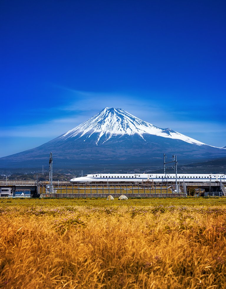 Bullet Train