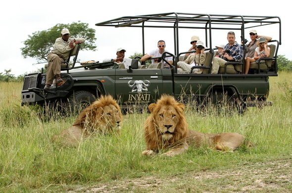 South Africa landscape
