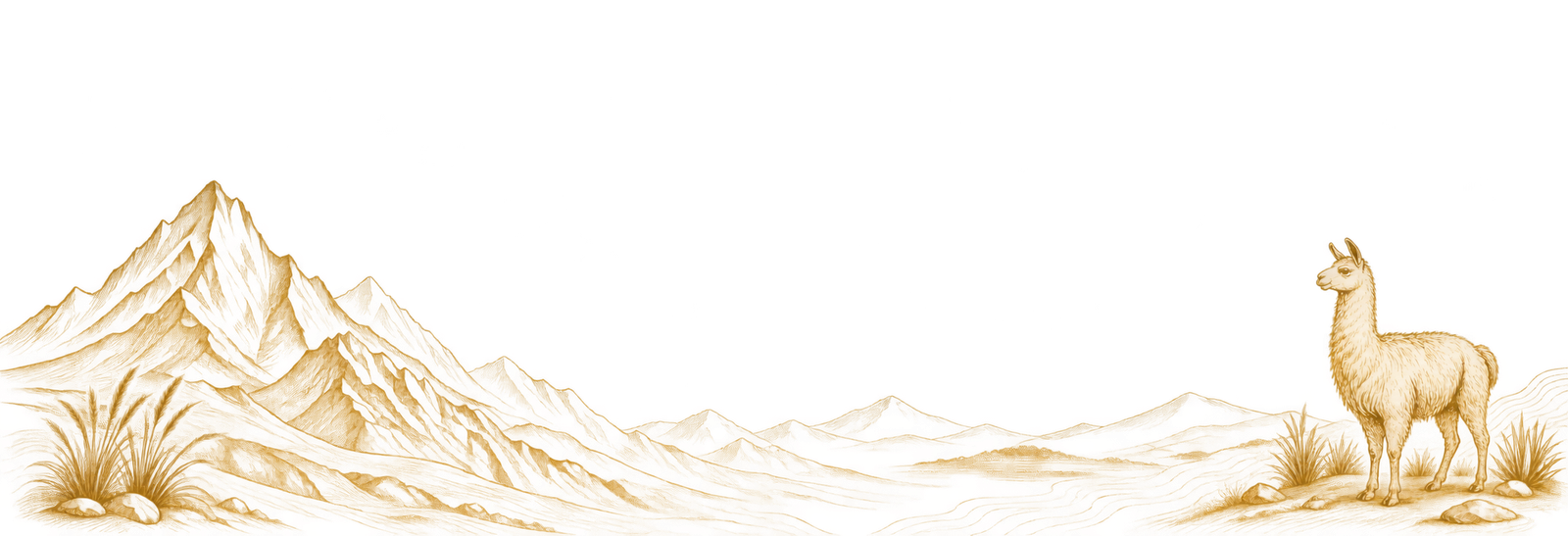 Oceania illustration
